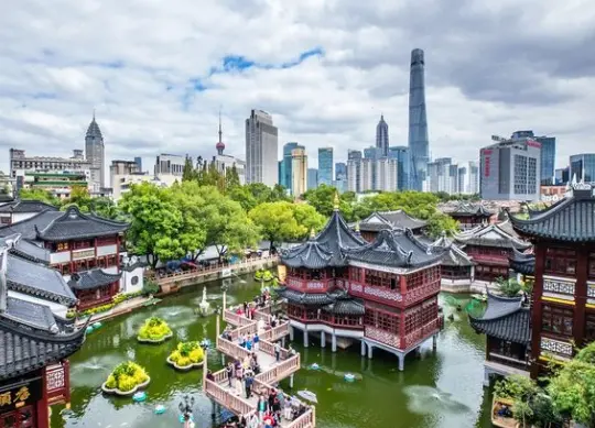 上海马术体验｜零基础想学骑马，哪家马术俱乐部适合新手？别瞎踩坑了